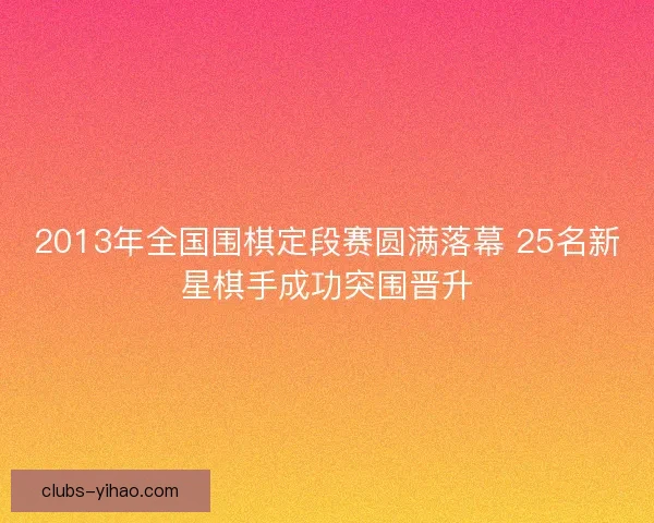 2013年全国围棋定段赛圆满落幕 25名新星棋手成功突围晋升